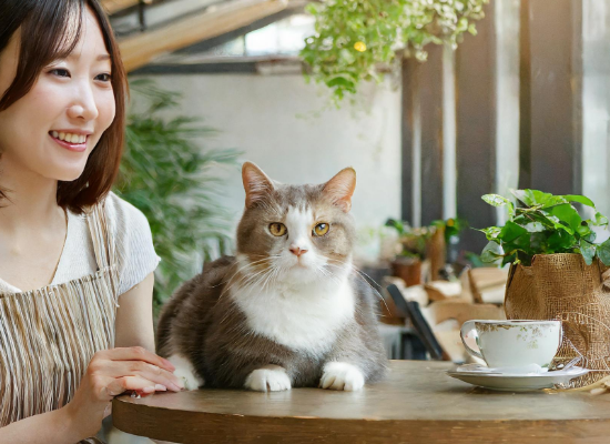 猫を眺めている女性